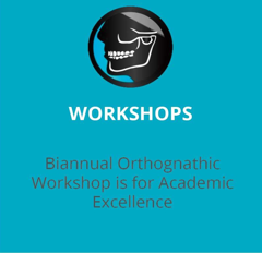 Waldent Ergo Intra-Oral Camera