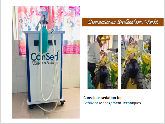 Waldent Ergo Intra-Oral Camera